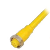 Balluff BCC A315-0000-10-063-VX45W6-02 7/8